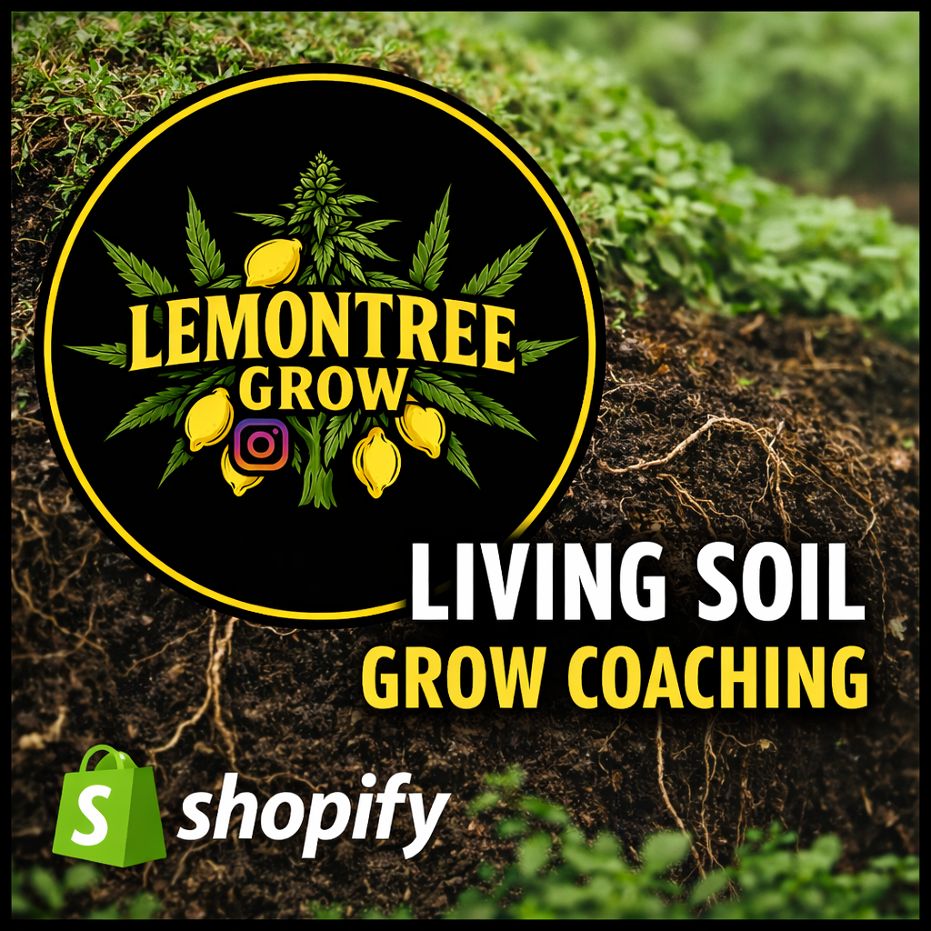 Living Soil Grow Coaching